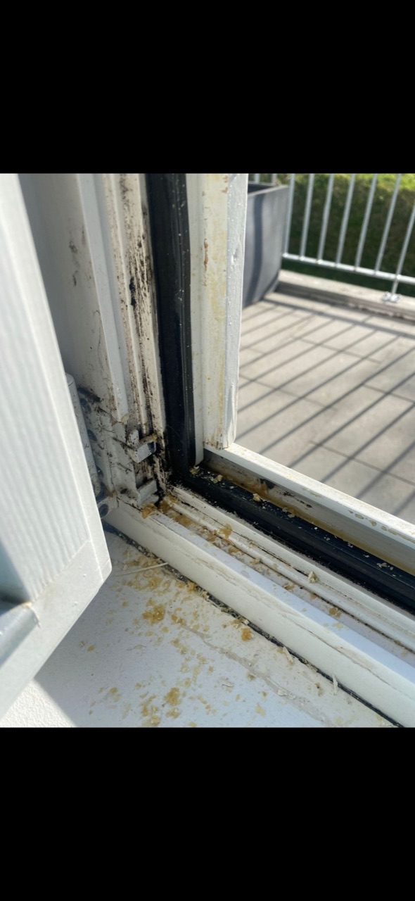 Vorher: Fensterrahmen · Endreinigung